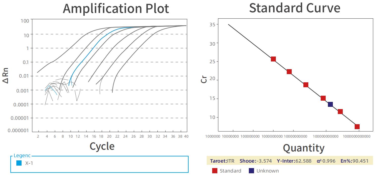 AAV Titering by qPCR