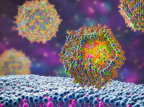 Lipid Nanoparticles