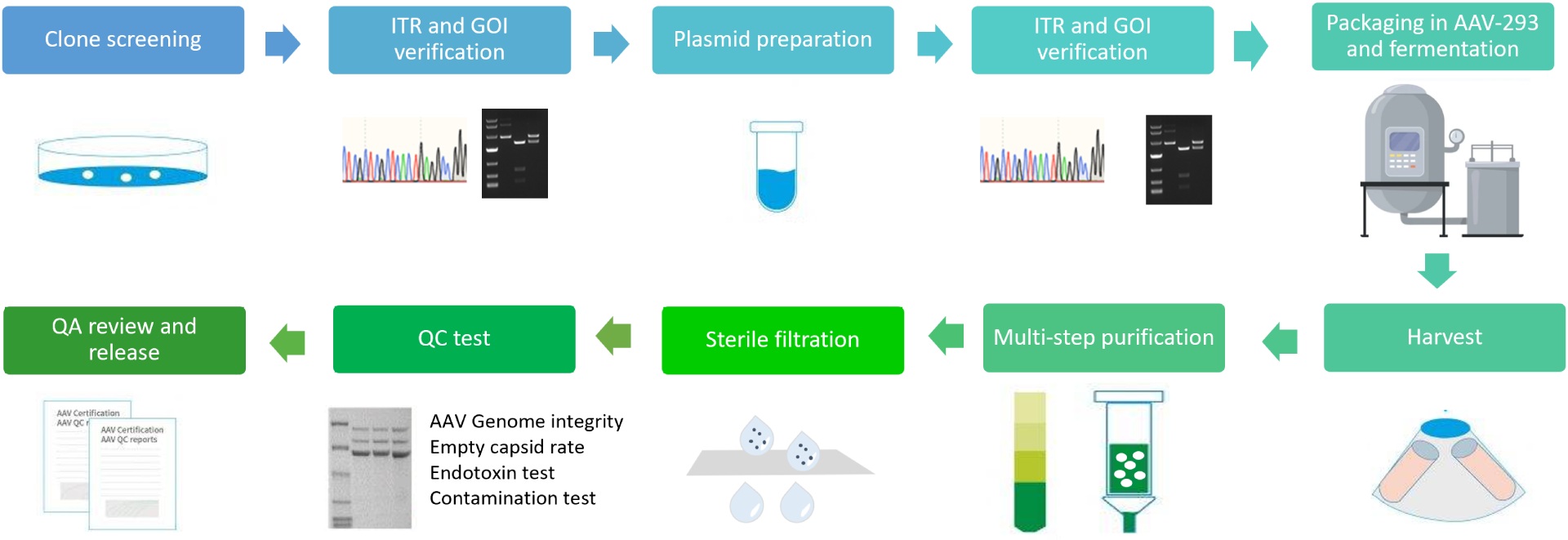 NHP process