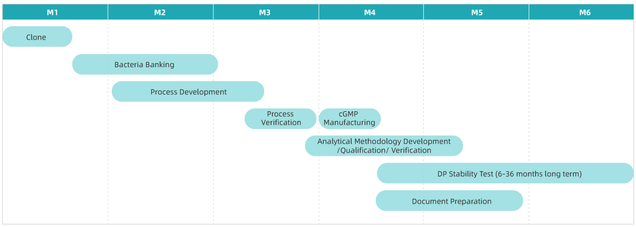 Plasmid-Production-platform